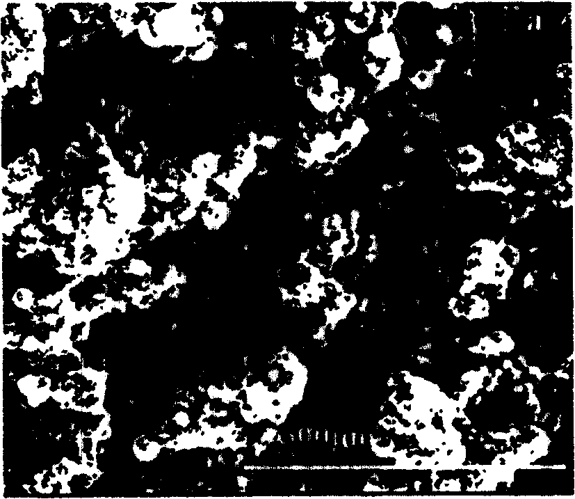 Preparation method of fluorine containing coating layer possessing ultra hydrophobic and oleophobic surface reinforced by inorganic ultrafine fiber