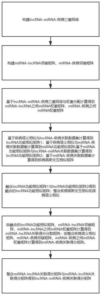 lncRNA-miRNA-disease association method based on fusion similarity