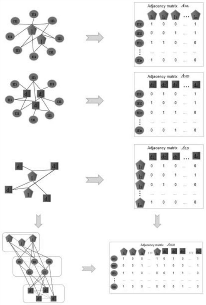 lncRNA-miRNA-disease association method based on fusion similarity