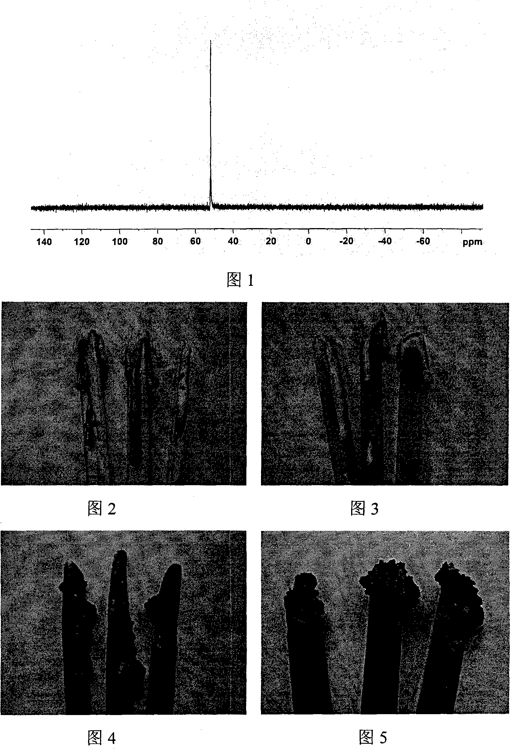 Phosphoric flame-proof copolyester ionomer and preparation method thereof