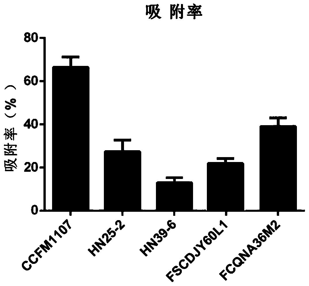 Multifunctional pediococcus pentosaceus CCFM1107 for relieving toxic actions of PFOS (perfluorooctane sulfonate) and fermentation food and application of CCFM1107