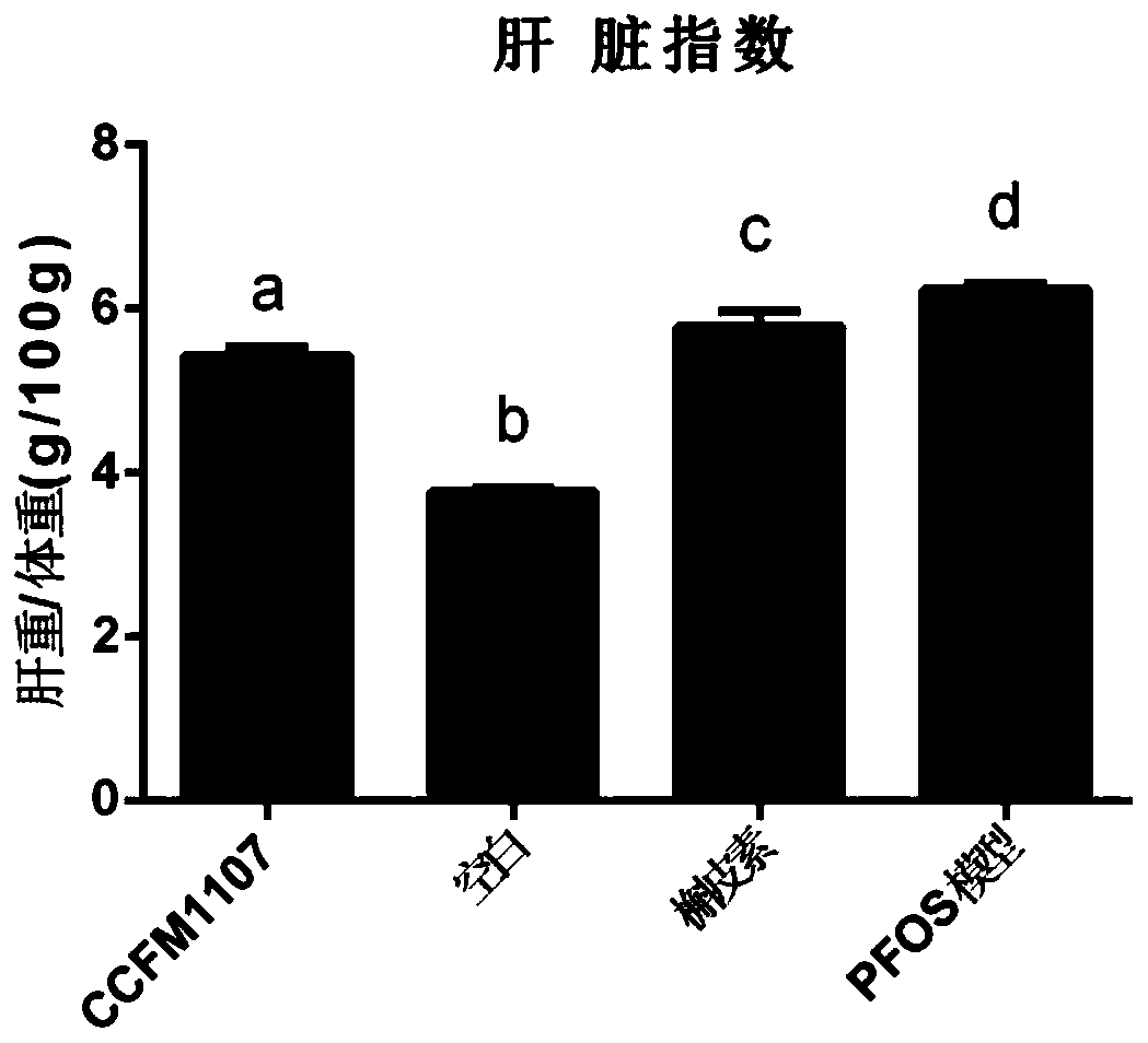 Multifunctional pediococcus pentosaceus CCFM1107 for relieving toxic actions of PFOS (perfluorooctane sulfonate) and fermentation food and application of CCFM1107