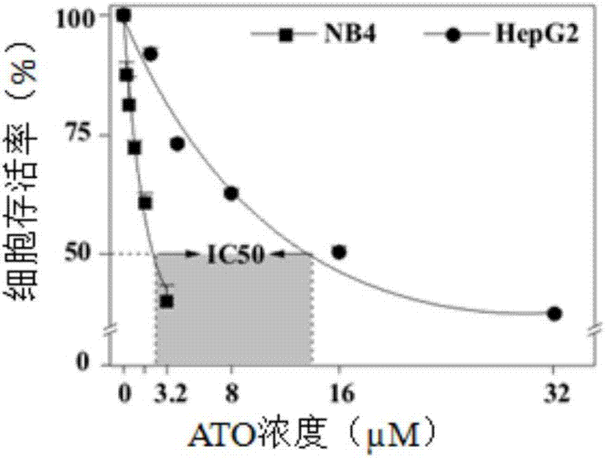 Autophagy blocking system based on nano materials, preparation method thereof and application in arsenical-drug solid-tumor treatment with same