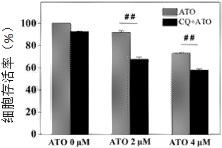 Autophagy blocking system based on nano materials, preparation method thereof and application in arsenical-drug solid-tumor treatment with same