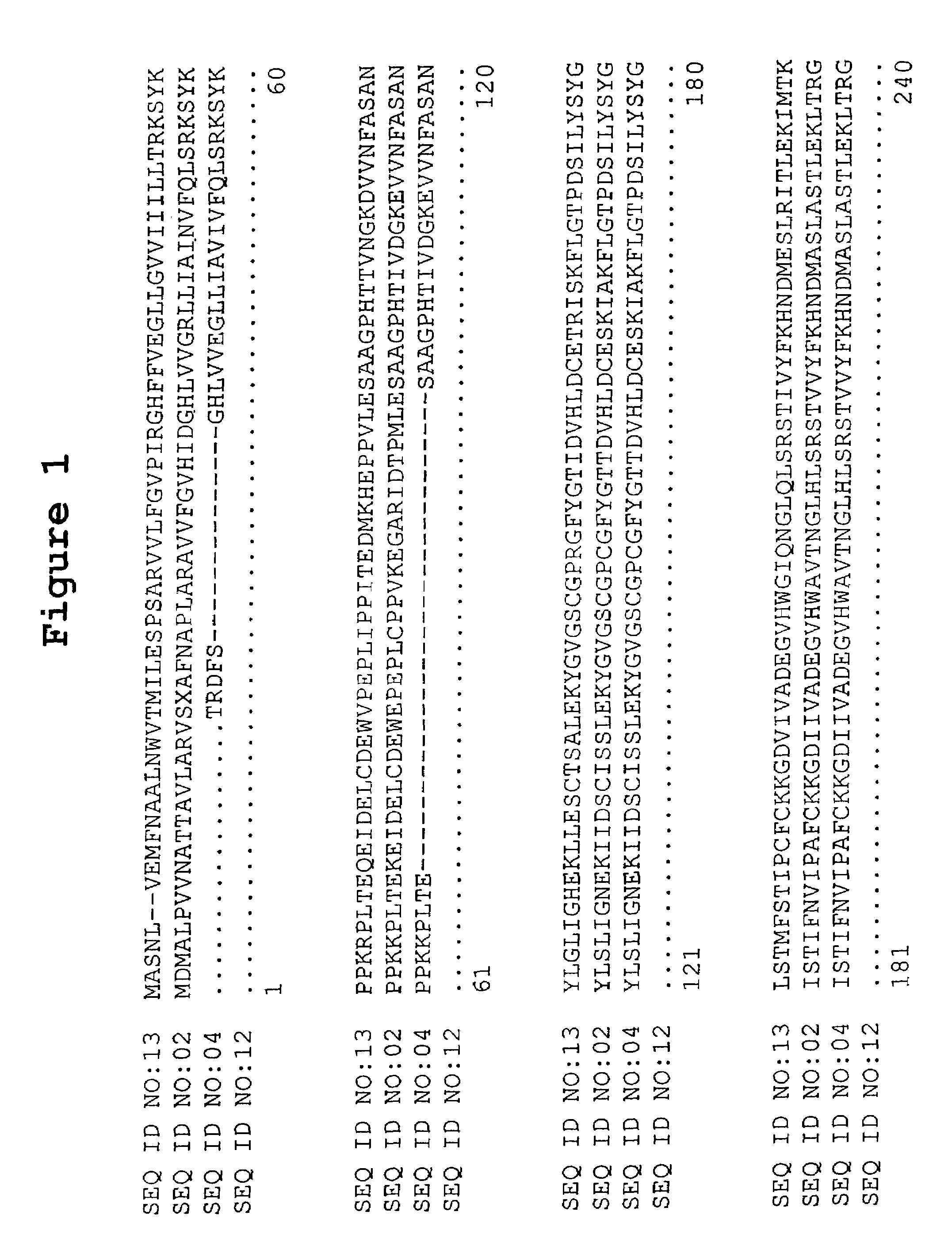Lcb1 subunit of serine palmitoyltransferase