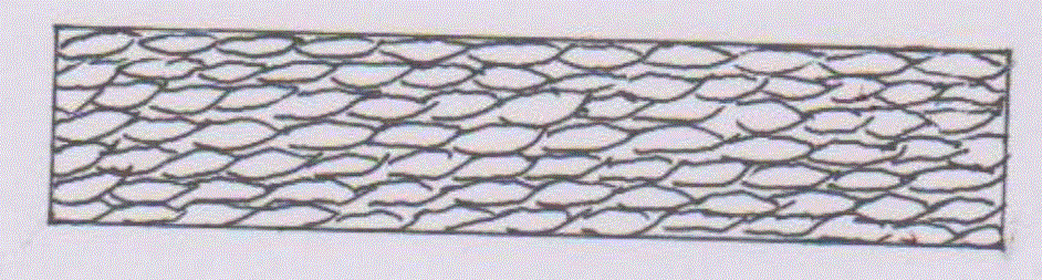 Novel structure for artificial sunflower straw board and assembly method