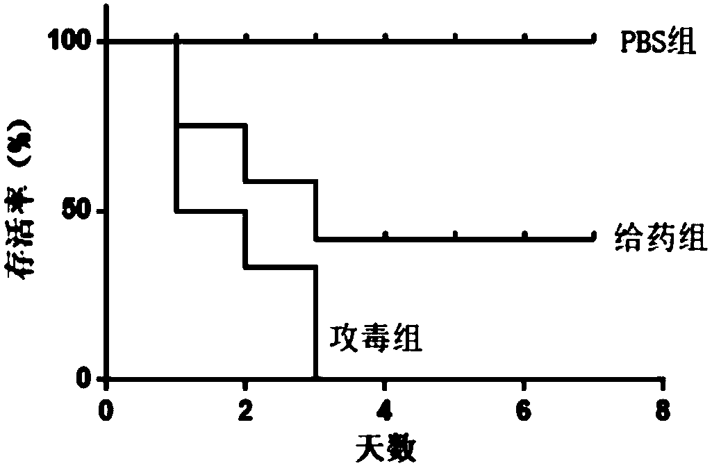 Application of oxyclozanide in preparing anti-streptococcus suis medicine