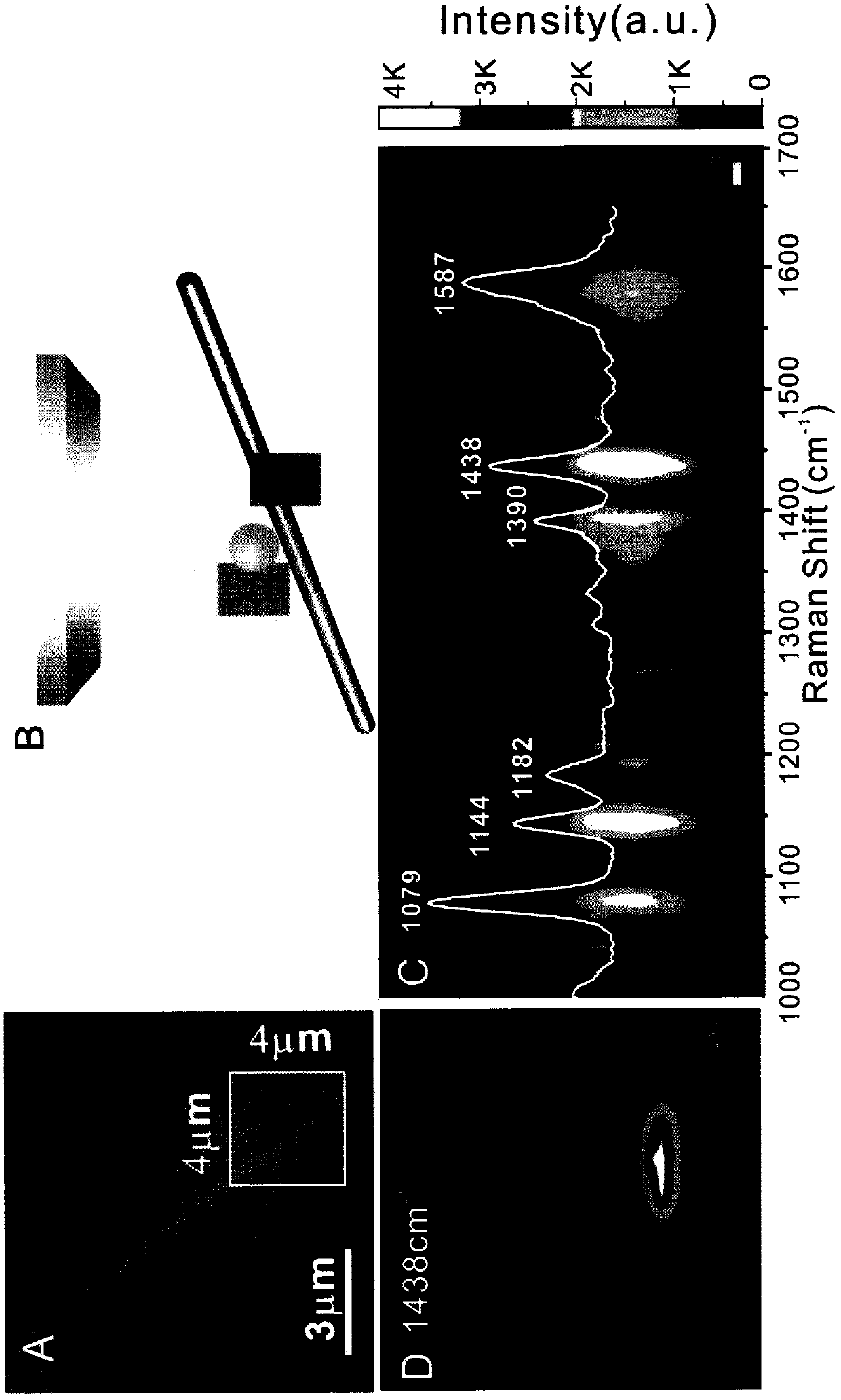 A surface-enhanced Raman scattering substrate with visible hotspots, a preparation method, and a method for detecting molecules using the substrate