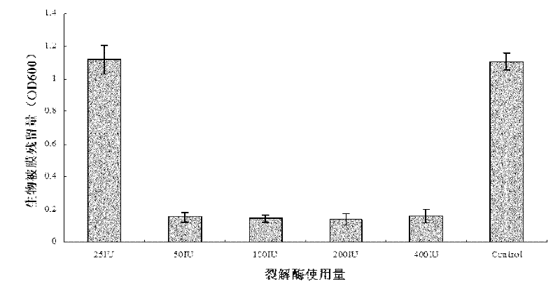 Method for degrading streptococcus suis biofilm by applying phage lyase