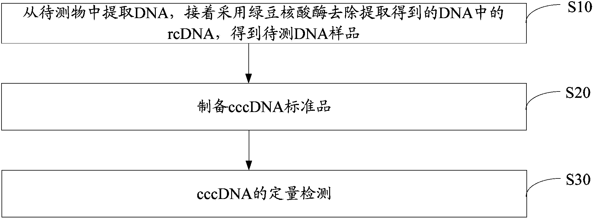 cccDNA standard substance, preparation method thereof, and method and kit for quantitatively detecting cccDNA of hepatitis b virus