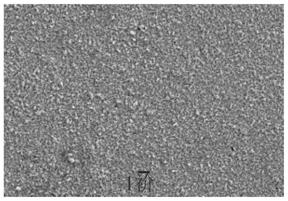 A method for rapid preparation of ultra-thin epitaxial bismuth ferrite thin films based on microwave hydrothermal method