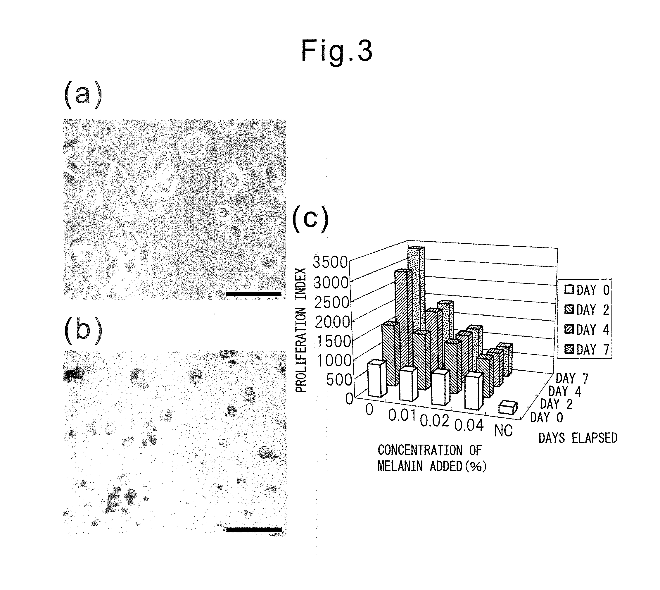 Methods of skin whitening and of screening skin-spot-formation inhibiting and/or skin-spot removing factor