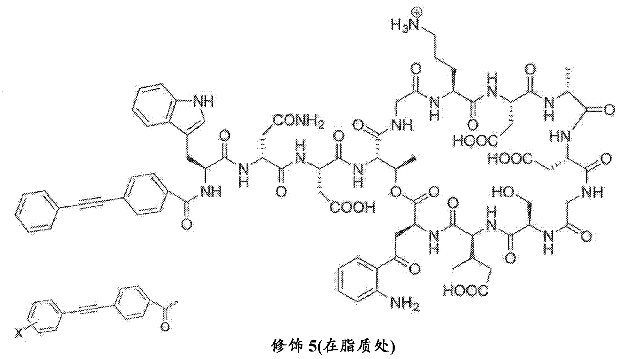 Antibacterial cyclic lipopeptides