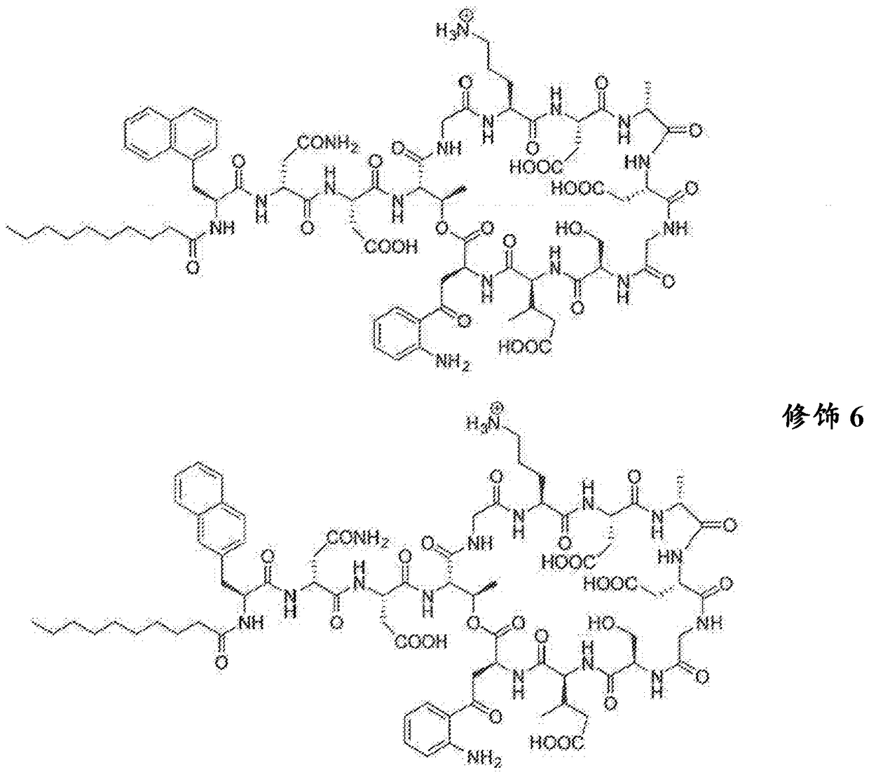 Antibacterial cyclic lipopeptides