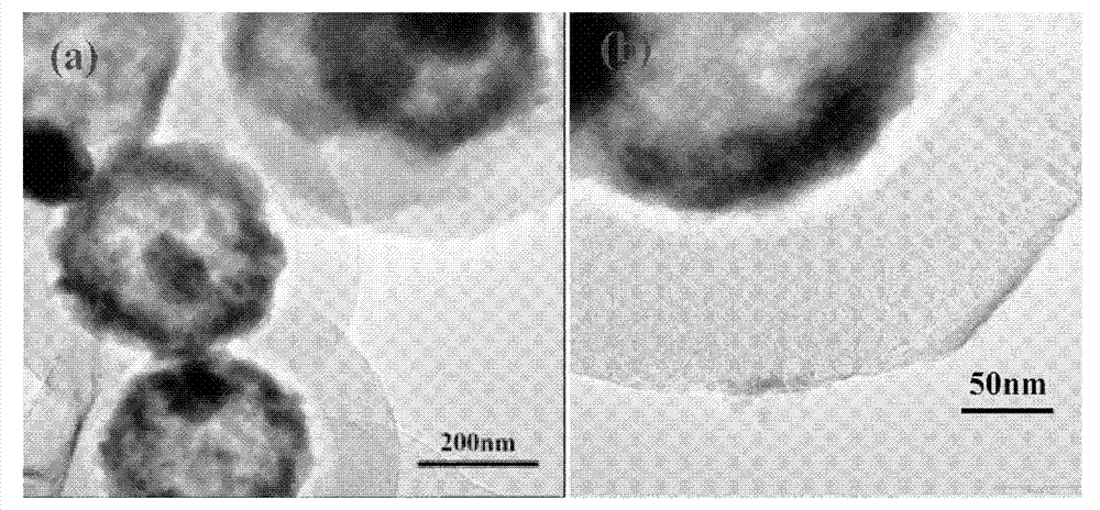 Core-shell type magnetic mesoporous nano-microsphere as well as preparation method and application thereof