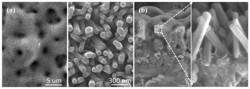 Hydroxyapatite nanorod array structured coating co-doped with multiple elements on titanium-based surface and its preparation method and application