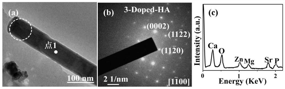 Hydroxyapatite nanorod array structured coating co-doped with multiple elements on titanium-based surface and its preparation method and application