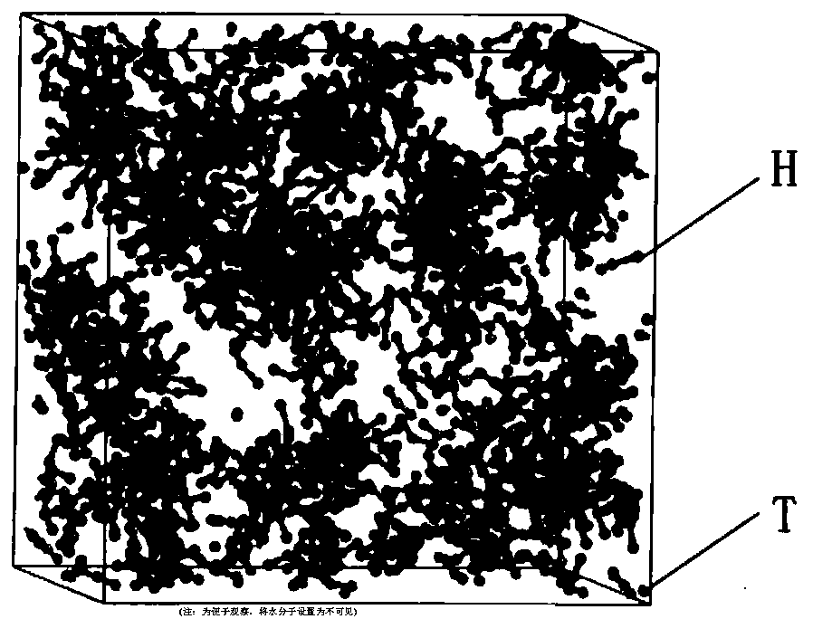 Construction method of surfactant solution dissipative particle dynamic force field