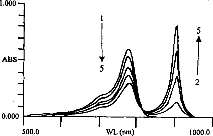 Method for determining microprotein in near infrared wavelength zone based on dye binding principle