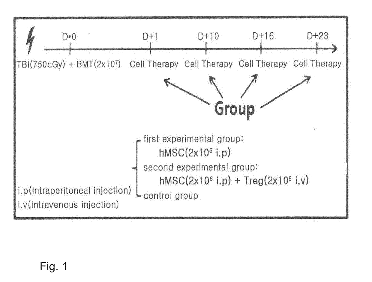 Cell therapy composition for preventing or treating immune disease comprising mesenchymal stem cells and immunoregulatory t-cells as active ingredient