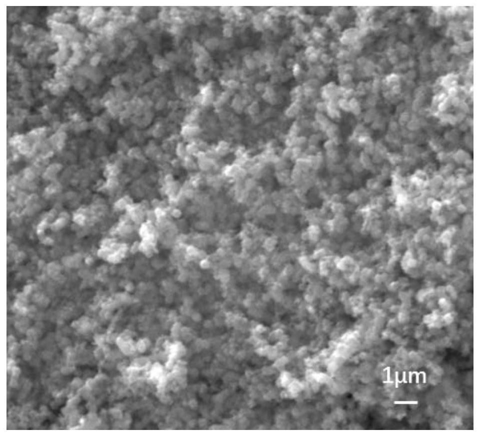 A nitrogen-doped porous carbon-supported titanium dioxide photocatalyst and its preparation method and application