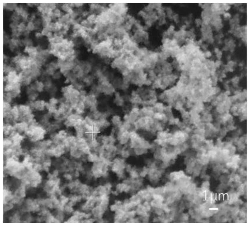 A nitrogen-doped porous carbon-supported titanium dioxide photocatalyst and its preparation method and application