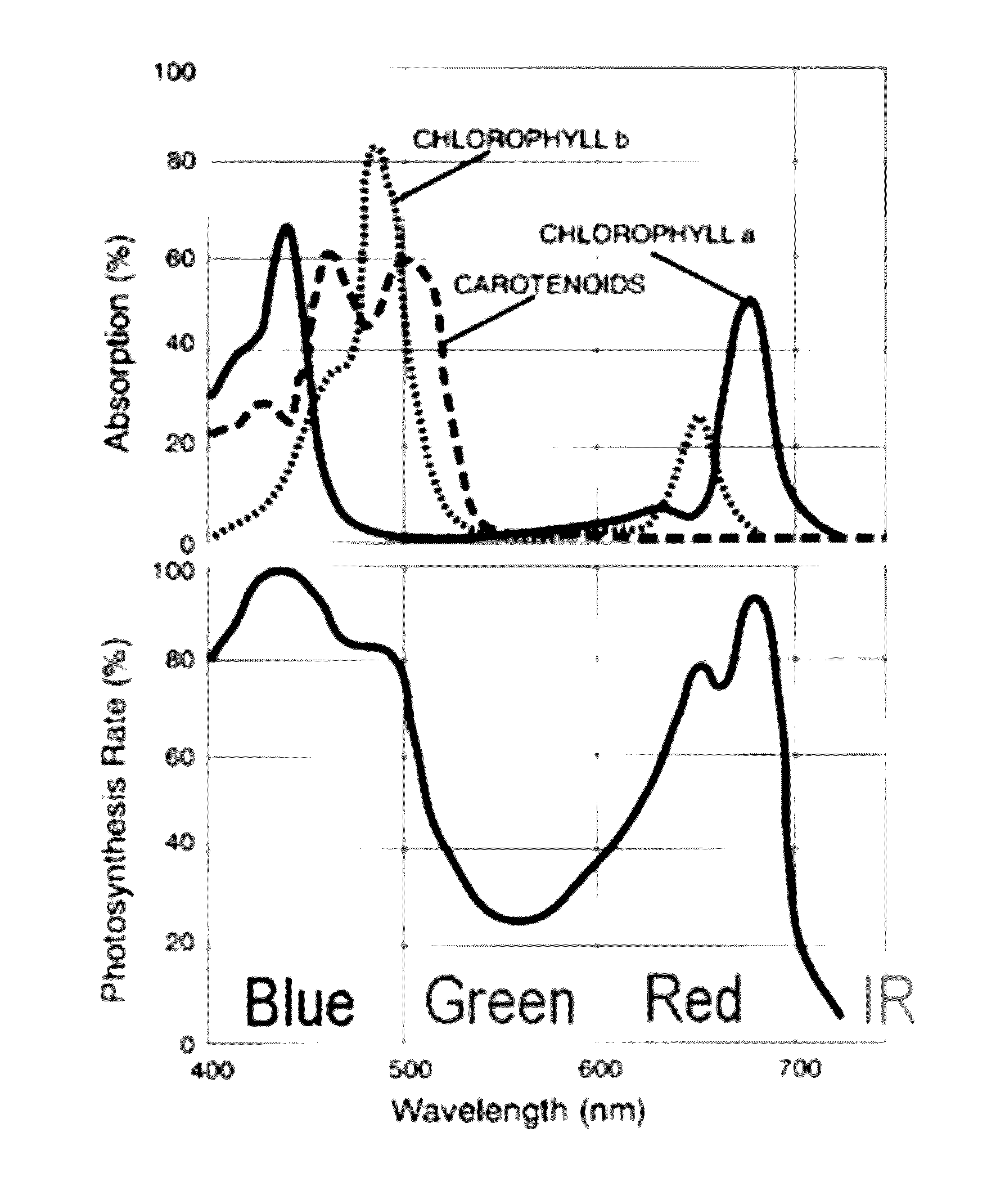 Systems and Methods of Using Labels for Evaluation of Produce and Other Foods