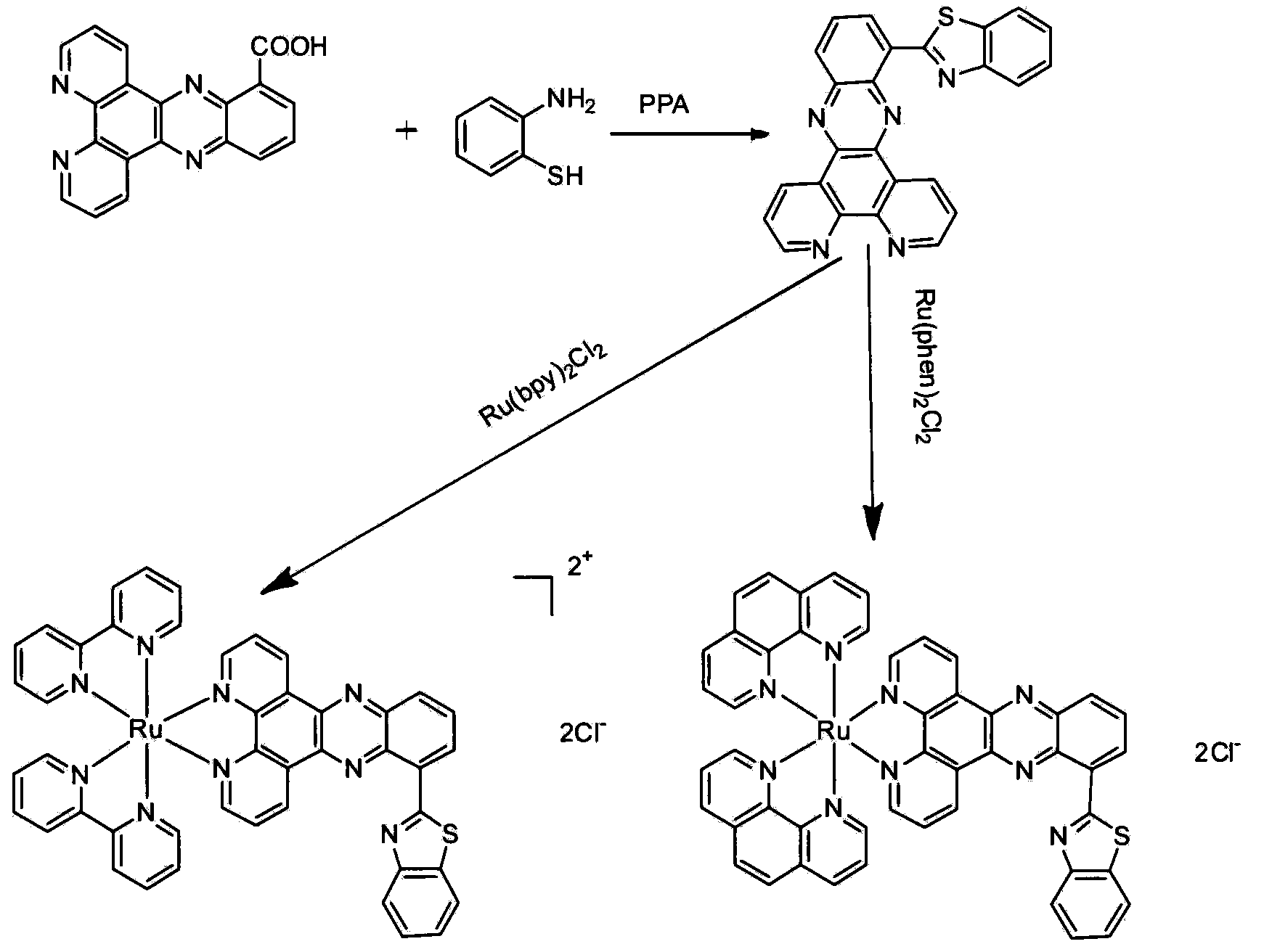 Preparation method and antitumor activity of ruthenium complexes containing benzothiazole