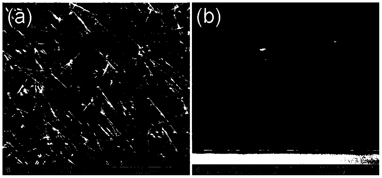 Ultraviolet photodetector and preparation method based on single twin structure gan nanowire