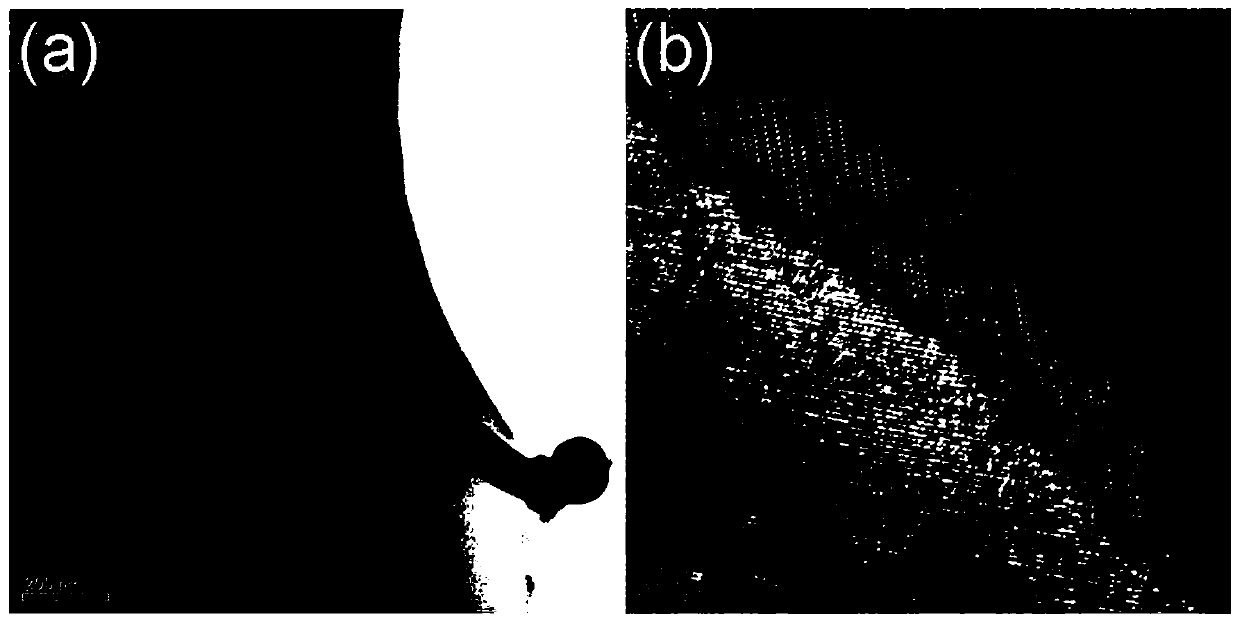 Ultraviolet photodetector and preparation method based on single twin structure gan nanowire