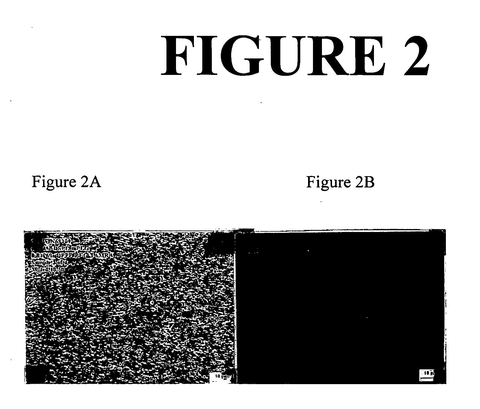 Compositions comprising antibodies and methods of using the same for targeting nanoparticulate active agent delivery