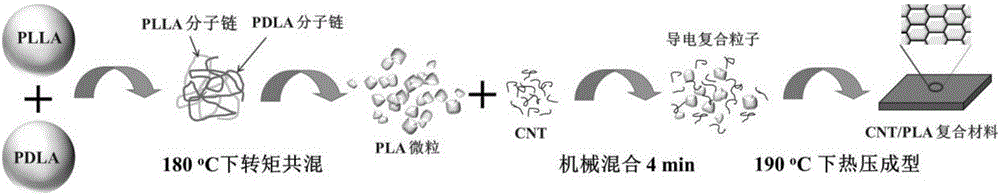 Preparation method of carbon nano tube (CNT)/polylactic acid (PLA) electromagnetic shielding composite material with isolation structure