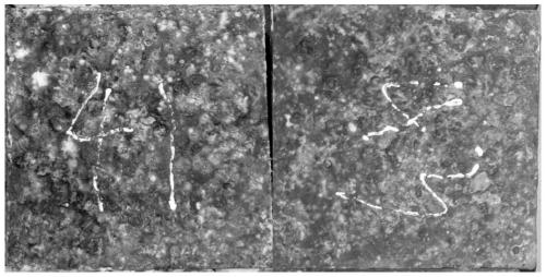 Method for constructing ecological high-durability concrete structure in marine environment