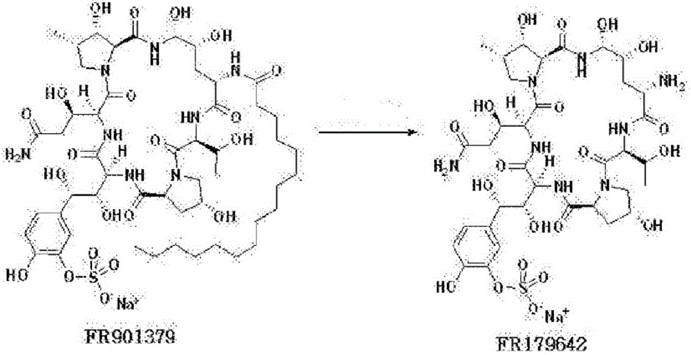 Preparation method of micafungin parent nucleus FR179642