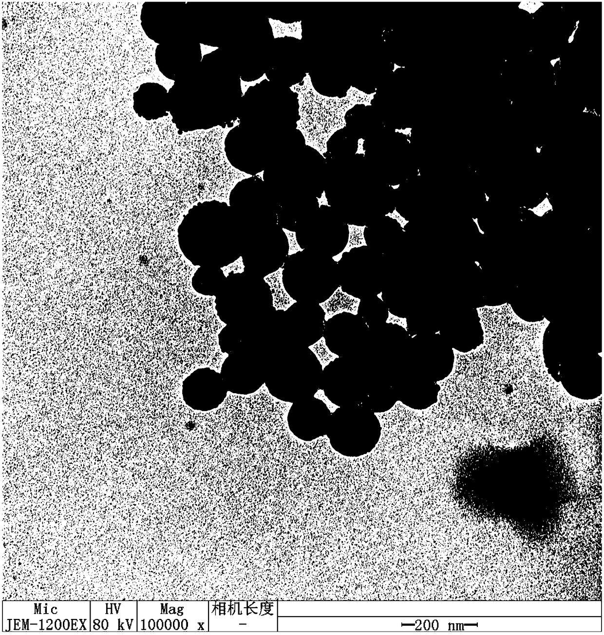 Magnetic nanoparticles and application thereof in preparing magnetic solid-phase carriers