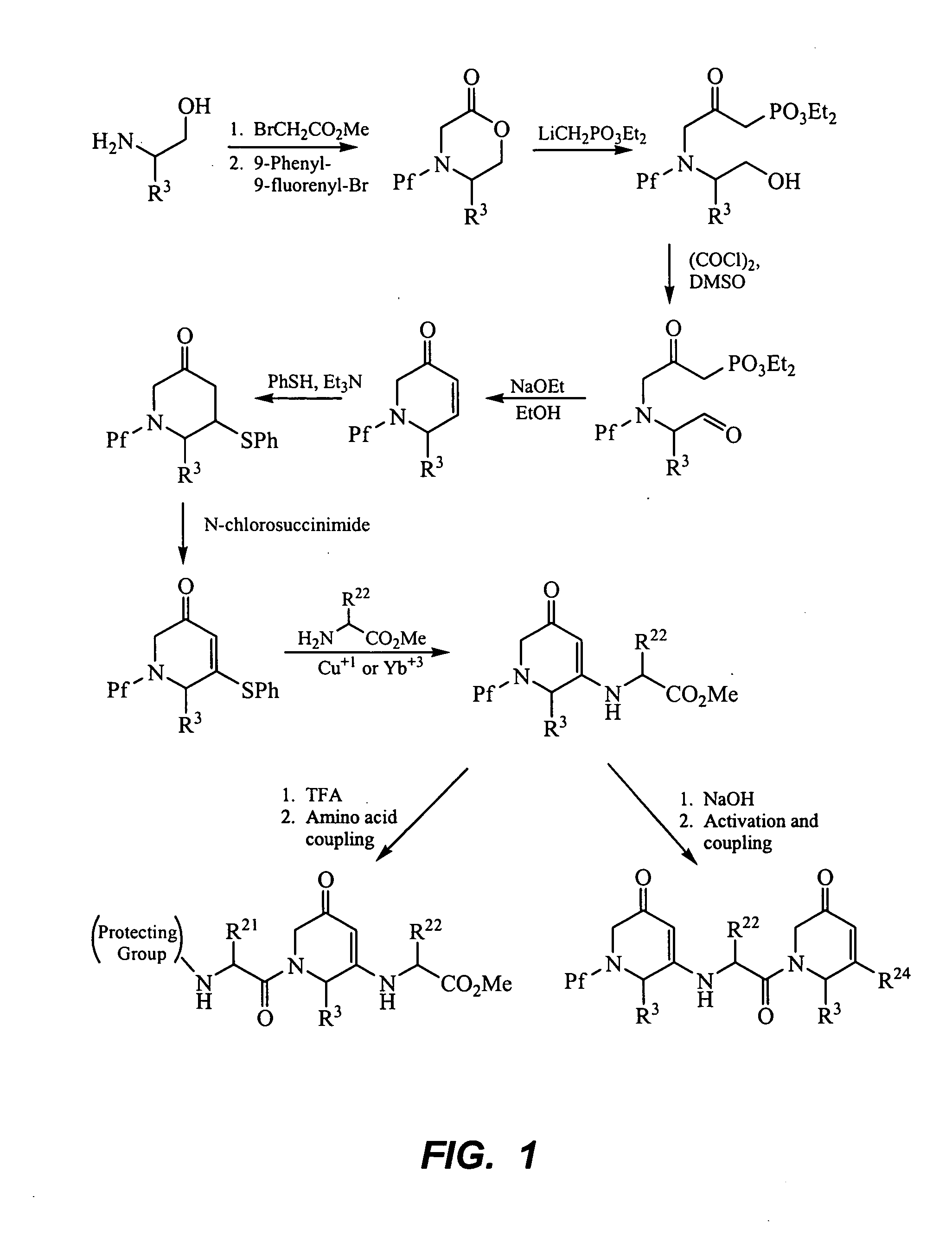 Peptide beta-strand mimics based on pyridinones, pyrazinones, pyridazinones, and triazinones