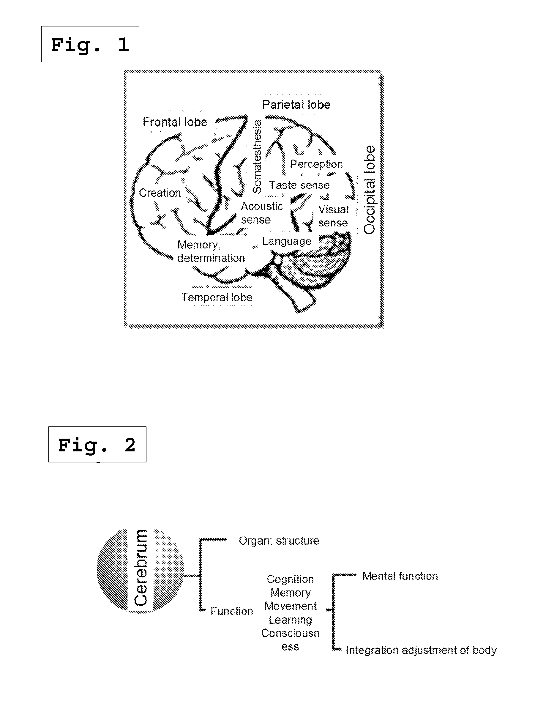 Method for treating/preventing disease using cognitive ability of cerebrum and pharmaceutical