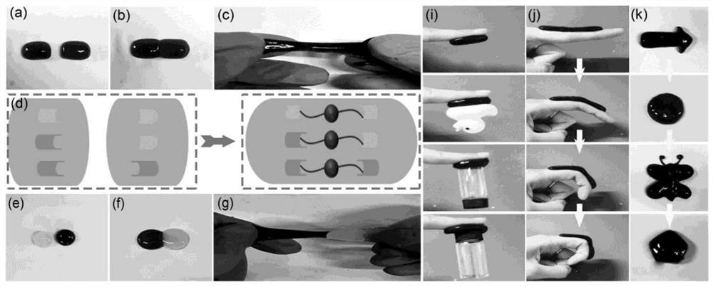Preparation method of hydrogel based on carbon nanotube composite molybdenum disulfide nanosheets