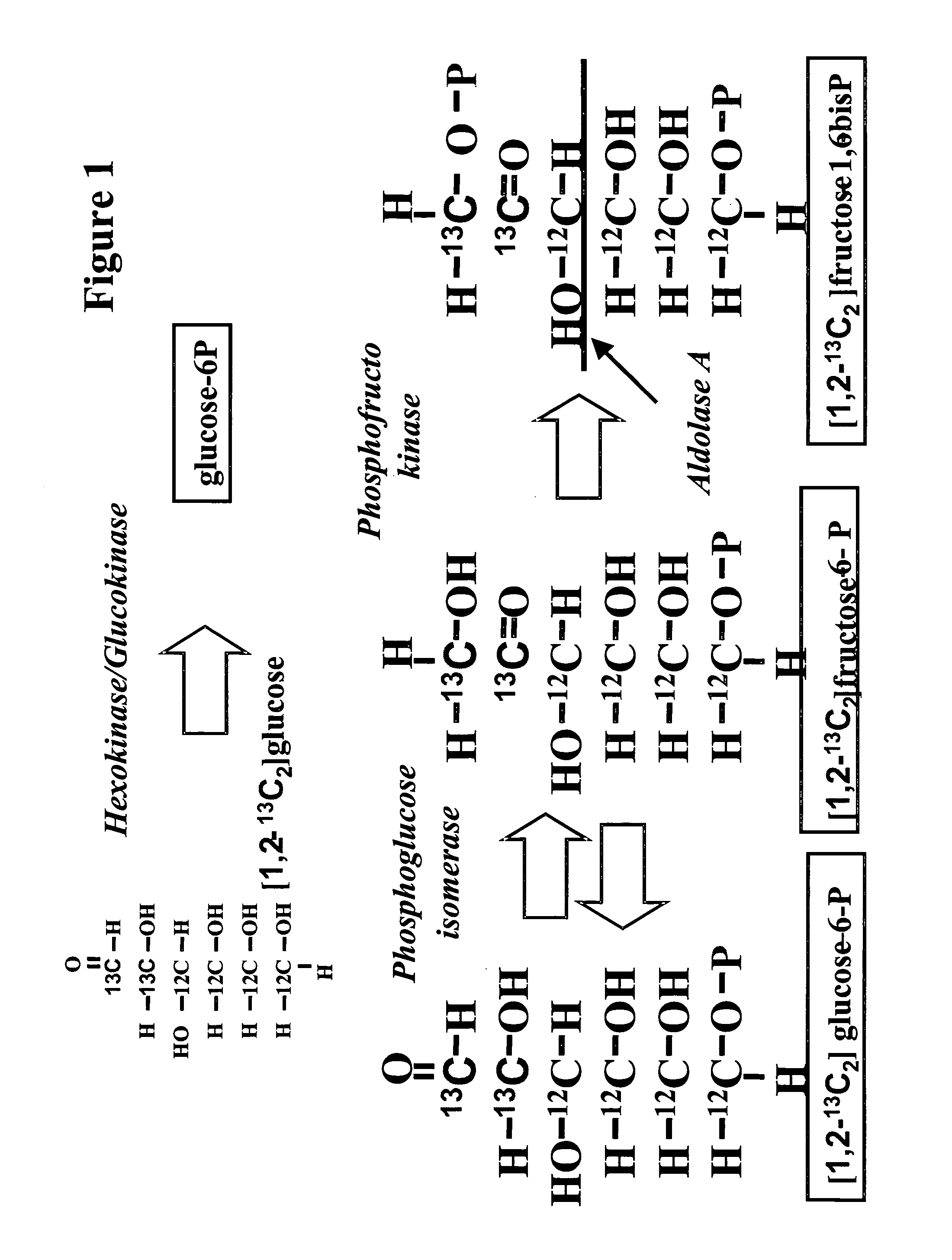 Methods and compositions for determining targeted drug sensitivity and resistance in a cancer subject