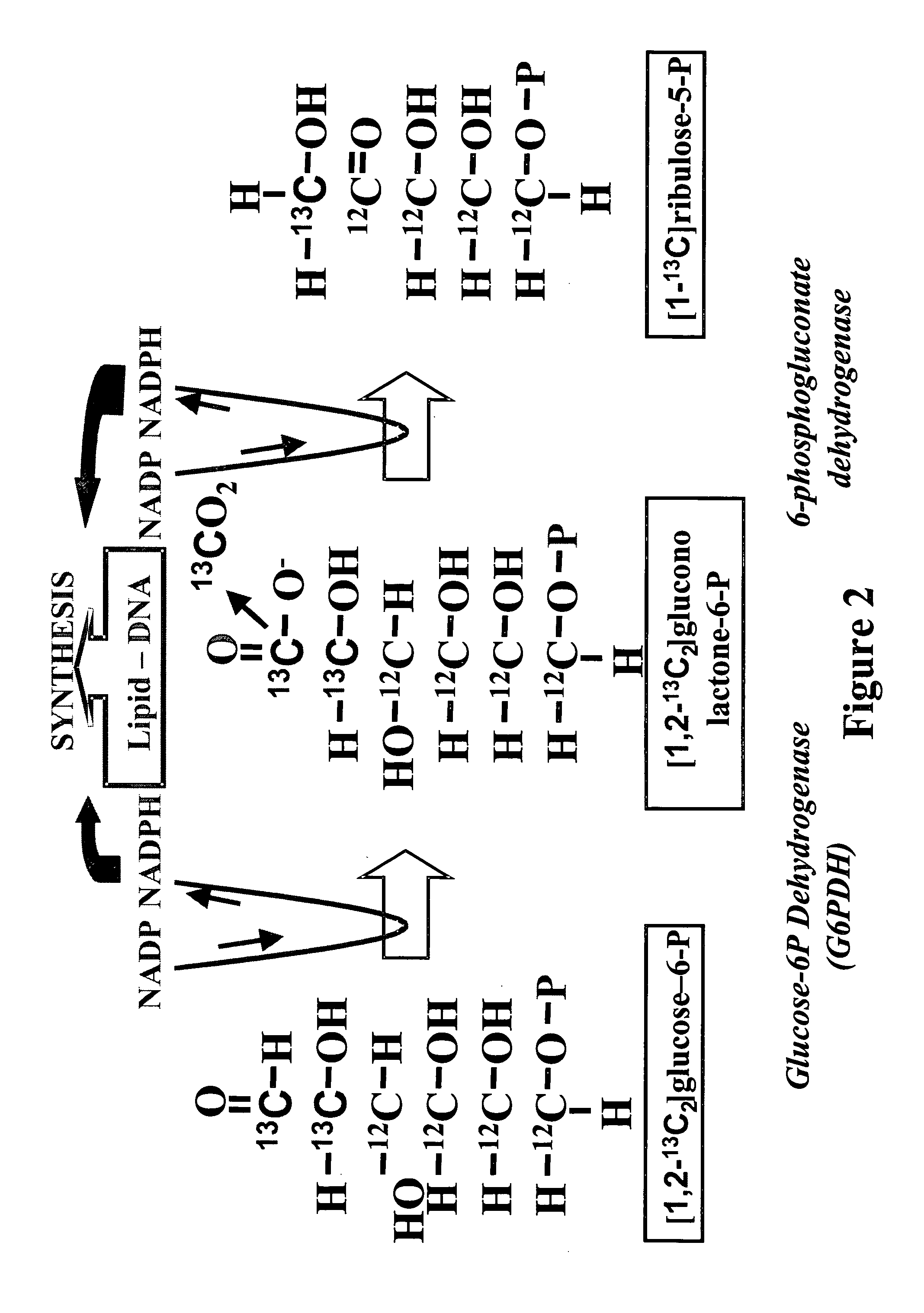 Methods and compositions for determining targeted drug sensitivity and resistance in a cancer subject