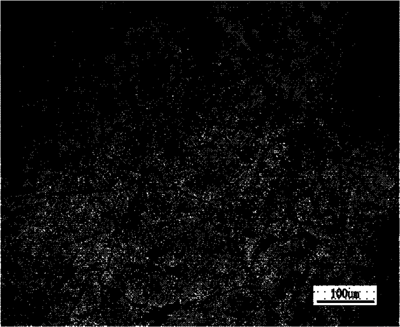 Continuous extrusion deformation method of magnesium alloy