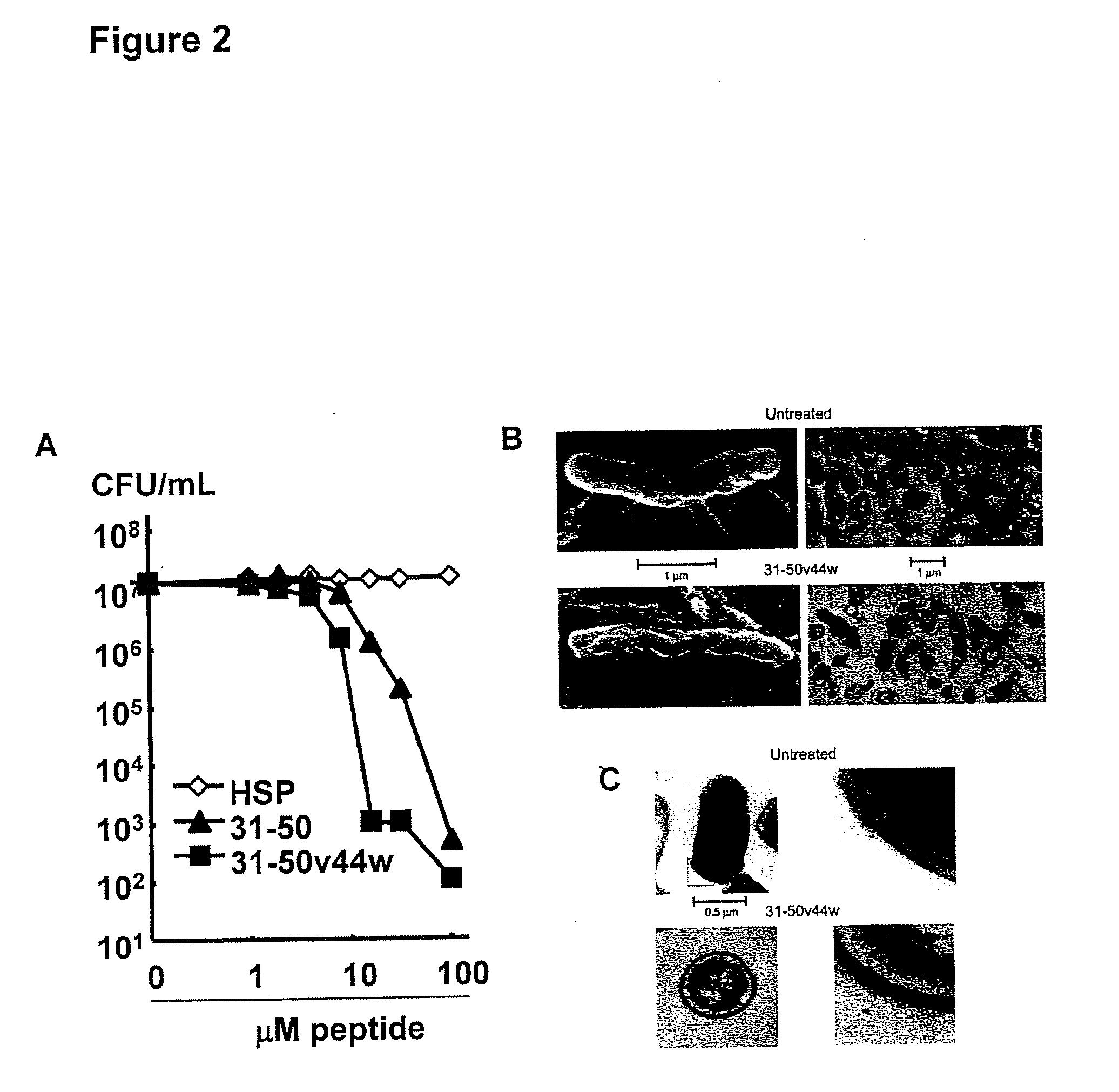 Granulysin peptides and methods of use thereof