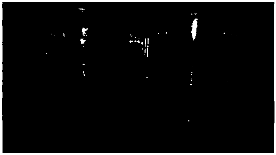 Bismuth titanate/bismuth oxide photocatalyst as well as preparation method and application thereof