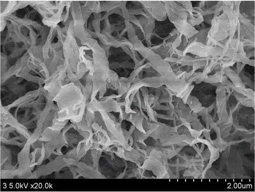 A kind of high-strength polymer nanoribbon and preparation method thereof