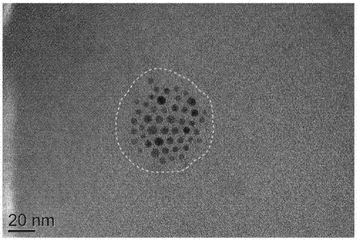 Multifunctional polymer nanoparticle, as well as preparation method and application thereof