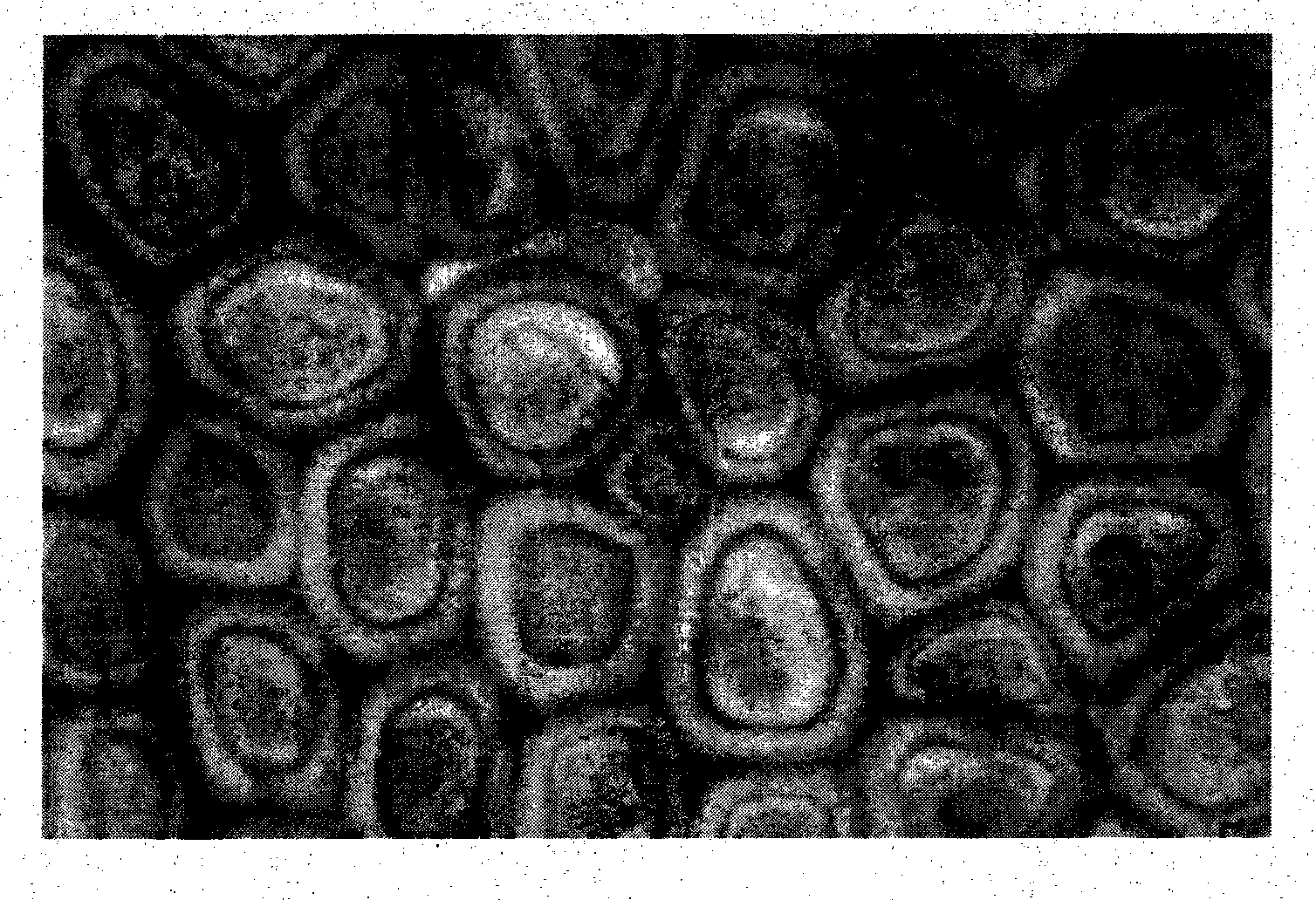 Pretreatment method for freezing and fresh-keeping of meat of domestic animals