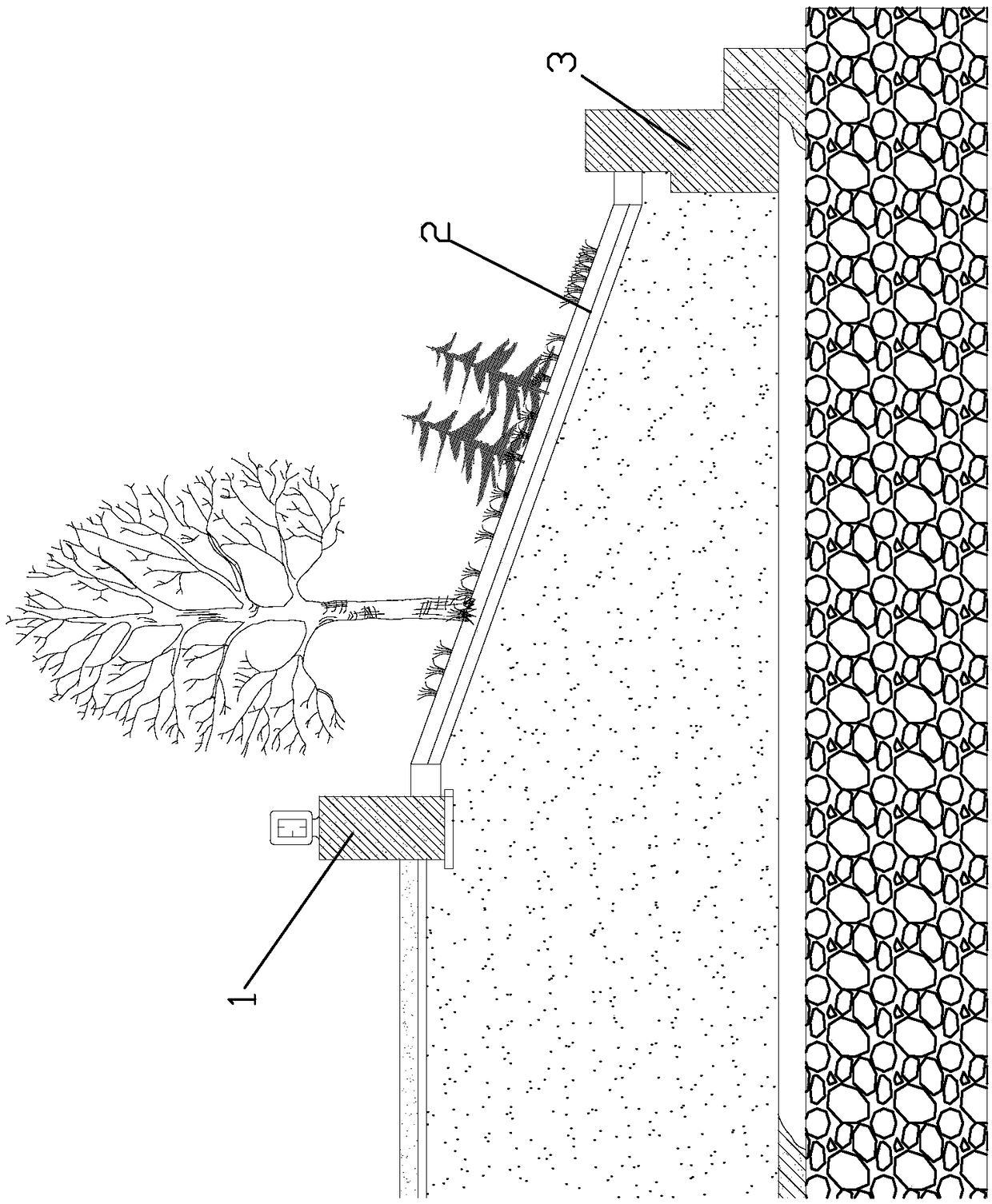 Construction method of ecological river channel levee