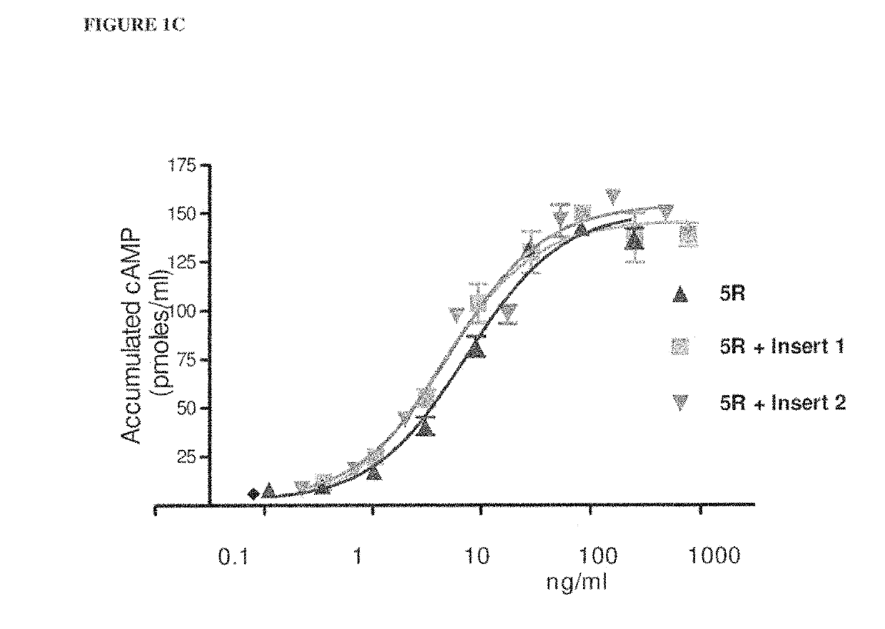 Glycoprotein hormone long-acting superagonists