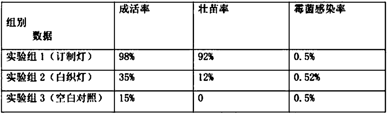 A method for cultivating kudzu tissue culture seedlings by using plant growth lamps