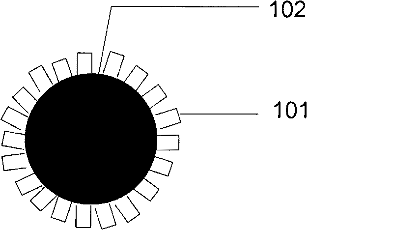 Light anode and flexile solar battery thereof